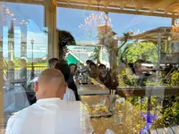 バナナウインズの写真・動画_image_1894172