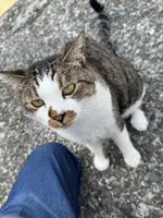 相島の写真・動画_image_1905394
