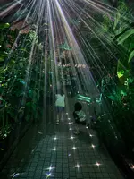 京都府立植物園の写真・動画_image_1905423