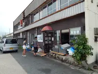 白菊の写真・動画_image_190670