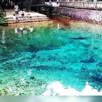 別府弁天池の写真・動画_image_190965