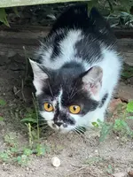 佐久島の写真・動画_image_1914369