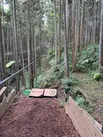 フォレストアドベンチャー・小田原の写真・動画_image_1918838