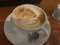 ステッラ（ＳＴＥＬＬＡ）の写真・動画_image_1920038