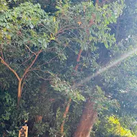 鎮西伊勢分宮 姫神社の写真・動画_image_1933861
