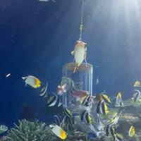 マリンワールド海の中道の写真・動画_image_1935425