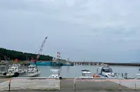 奈多海岸の写真・動画_image_1935429