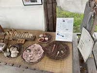 吉野ケ里遺跡の写真・動画_image_1935447