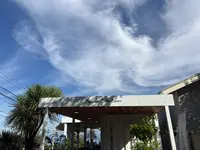 シロクマコーヒービーンズの写真・動画_image_1937467