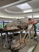 知覧特攻平和会館の写真・動画_image_1937707