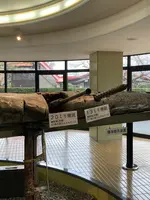 知覧特攻平和会館の写真・動画_image_1937708