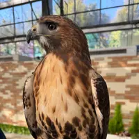 掛川花鳥園の写真・動画_image_1952028