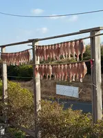 お食事処海の写真・動画_image_1952911