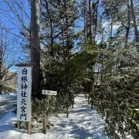 白根神社の写真・動画_image_1965054