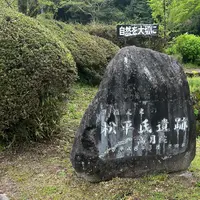 松平東照宮の写真・動画_image_1985923