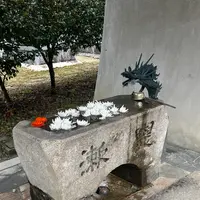 松平東照宮の写真・動画_image_1985926