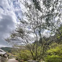 松平東照宮の写真・動画_image_1985927