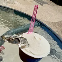 Scio’scio’ショーショーの写真・動画_image_1986547