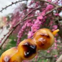 三室戸寺の写真・動画_image_1988918