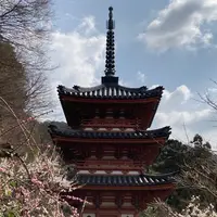 三室戸寺の写真・動画_image_1988919