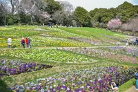 里山ガーデンの写真・動画_image_1989206