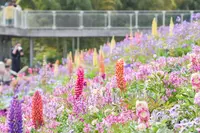 里山ガーデンの写真・動画_image_1989209