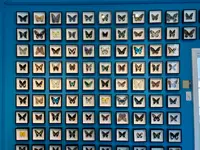 ベンの家の写真・動画_image_1989218