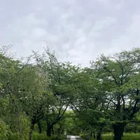 平野神社の写真・動画_image_1990057