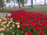 国営ひたち海浜公園の写真・動画_image_1992503