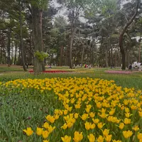 国営ひたち海浜公園の写真・動画_image_1992504