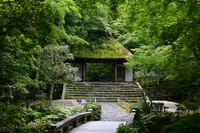法然院の写真・動画_image_2009914