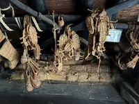 岩瀬家住宅の写真・動画_image_2011842