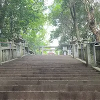 金比羅宮 本宮拝殿の写真・動画_image_2018763
