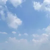 金比羅宮 本宮拝殿の写真・動画_image_2018764