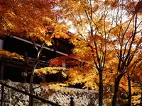 御嶽山 播州清水寺の写真・動画_image_205458