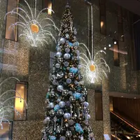 ティファニー銀座本店の写真・動画_image_205825