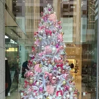 EXITMELSAの写真・動画_image_205829