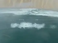 ナミブ砂漠　大西洋岸の写真・動画_image_207094