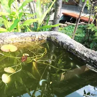 本納寺の写真・動画_image_207773