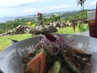 亜熱帯茶屋の写真・動画_image_208462