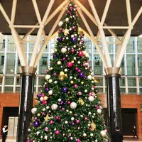 新宿オークシティの写真・動画_image_208854