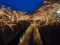 目黒川の写真・動画_image_209078