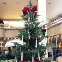 ウィング高輪の写真・動画_image_209702