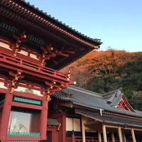 鶴岡八幡宮の写真・動画_image_211346