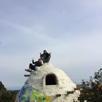 三角エコビレッジ サイハテの写真・動画_image_219461