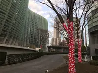 国立新美術館の写真・動画_image_222196