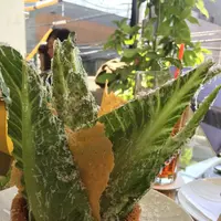 【閉店】ドミニクアンセルベーカリートウキョウ(DOMINIQUE ANSEL BAKERY TOKYO)の写真・動画_image_224008