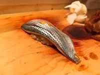 秀徳 2号店の写真・動画_image_224071