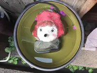 鞆の浦の写真・動画_image_225281