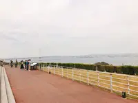神戸淡路鳴門自動車道・淡路ＳＡ上りの写真・動画_image_225294